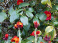 DSC00134