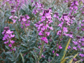 DSC00151