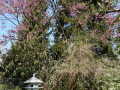 DSC00152