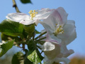 DSC00153