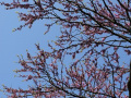 DSC00154