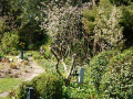 DSC00156