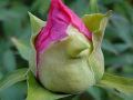 DSC00165