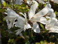 DSC00399