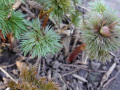 DSC00400