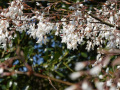 DSC00423