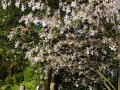 DSC00424
