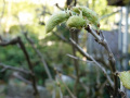 DSC00438
