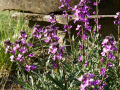DSC00440