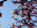 DSC00789_