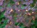 DSC00791_