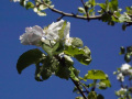 DSC00794_