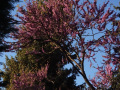 DSC00796_