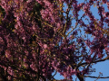 DSC00797_