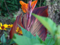 DSC00296