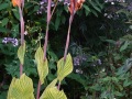 DSC01459
