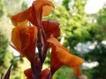 DSC01462