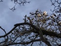 DSC01259
