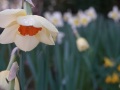 DSC01262