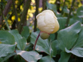 DSC00450