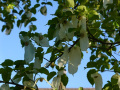 DSC00458