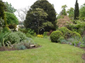 DSC00972