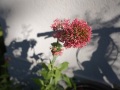 DSC01377