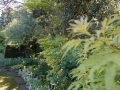 DSC01383