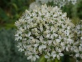 DSC01399