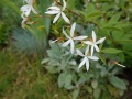 DSC01400