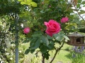 DSC01804