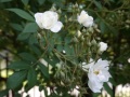 DSC01808
