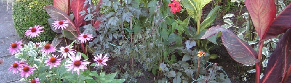 Garten Windisch – Susannes Garten
