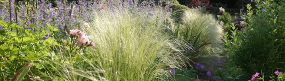 Garten Windisch – Susannes Garten